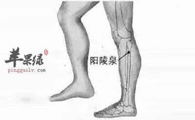闪烁之光辅助吧专业指南 闪烁 之光 辅助 吧专 业指 南 第1张 闪烁之光辅助吧专业指南 闪烁 之光 辅助 吧专 业指 南 第1张