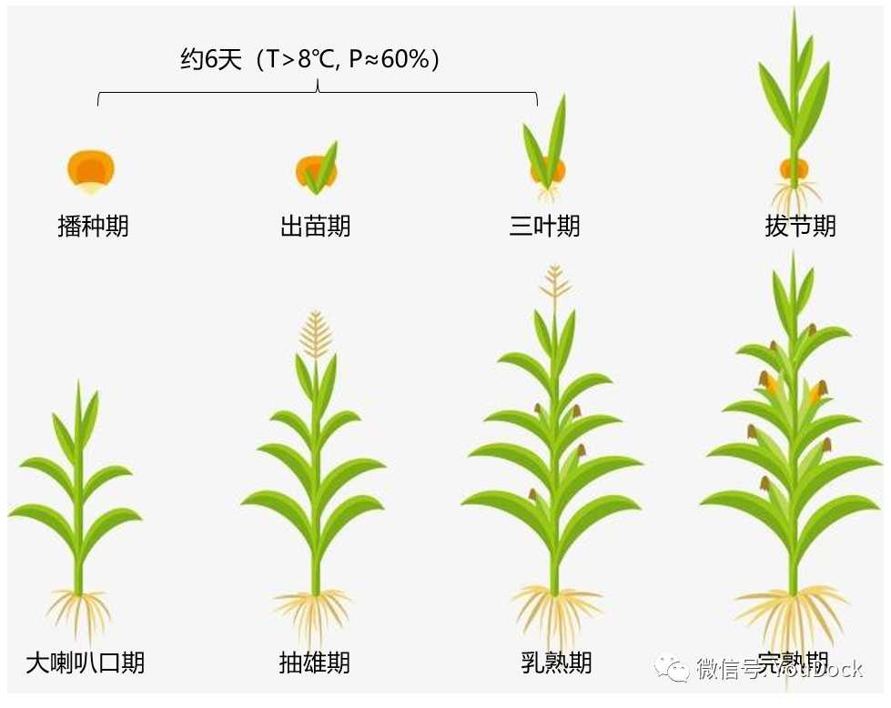 闪烁之光塞壬与阿奇丽的交织 闪烁 之光 塞壬 与阿 奇丽 的交 织 第1张 闪烁之光塞壬与阿奇丽的交织 闪烁 之光 塞壬 与阿 奇丽 的交 织 第1张