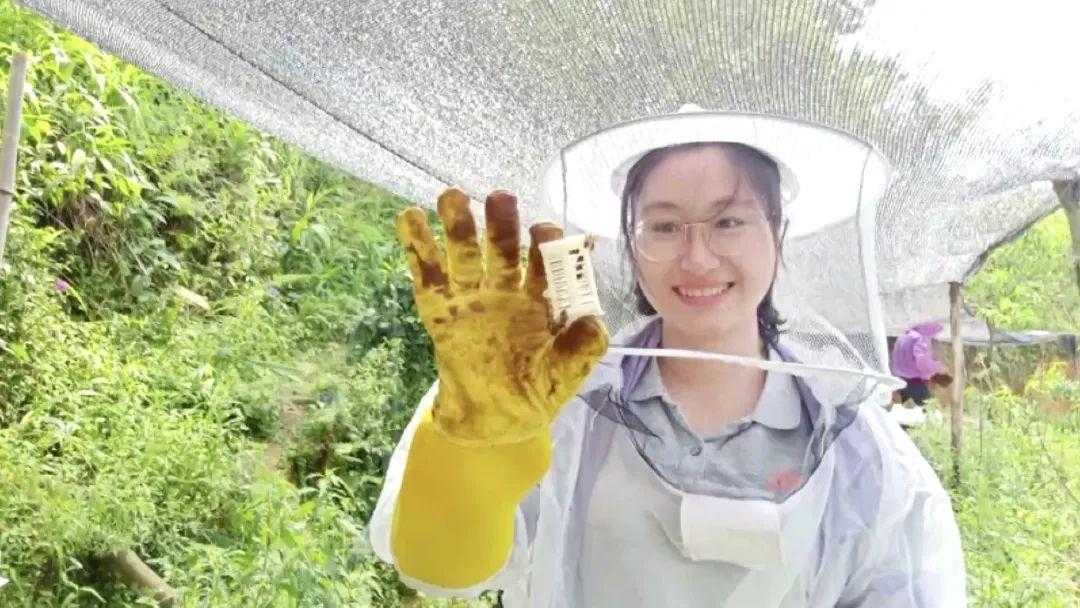 闪烁之光系辅助职业选择分析 闪烁 之光 系辅 助职 业选 择分 析 第1张 闪烁之光系辅助职业选择分析 闪烁 之光 系辅 助职 业选 择分 析 第1张