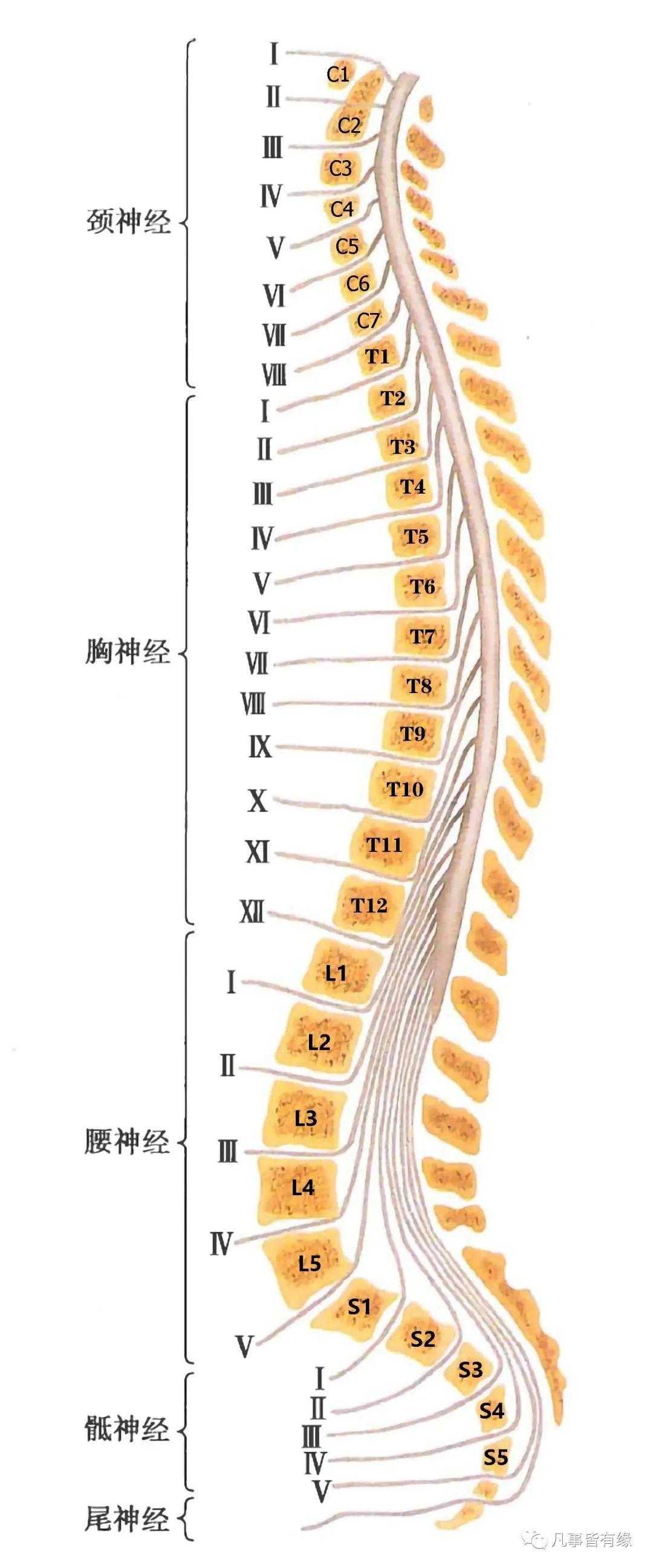 深空之眼辅助功能详解与使用技巧
