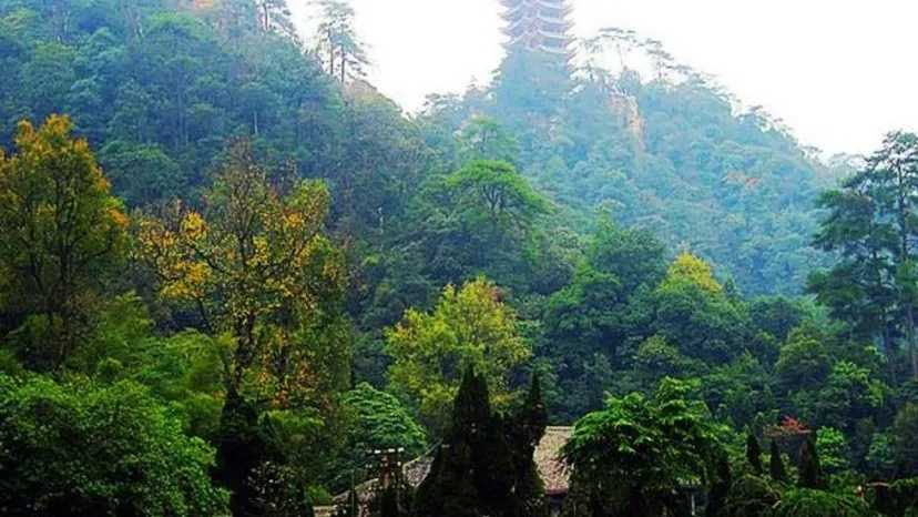 失控进化》下载资源发布