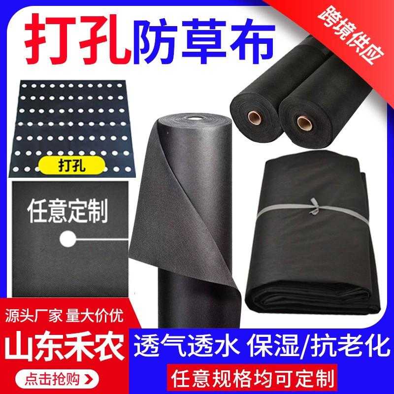 失控进化端游脚本最新版本更新内容曝光