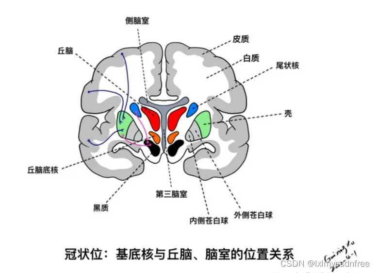 失控进化新作正式亮相备受期待 失控 进化 新作 正式 亮相 备受 期待 第1张 失控进化新作正式亮相备受期待 失控 进化 新作 正式 亮相 备受 期待 第1张