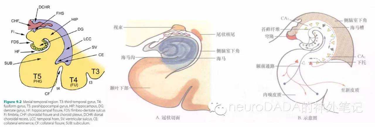 失控进化熔炉制作方法解析