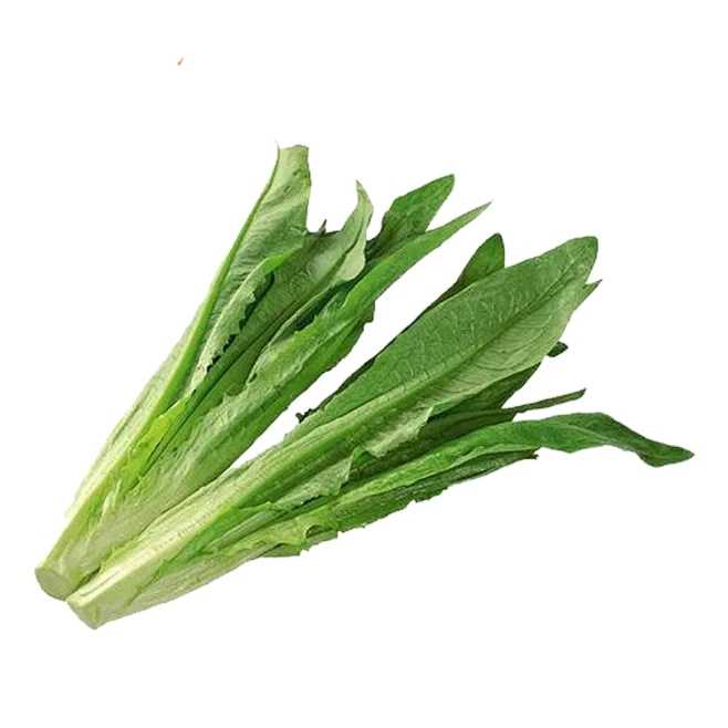一键root授权引发安全争议 一键 ro ot 授权 引发 安全 争议 第1张 一键root授权引发安全争议 一键 ro ot 授权 引发 安全 争议 第1张