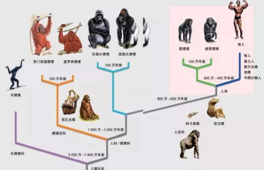 进化之地2破解版曝光引发关注
