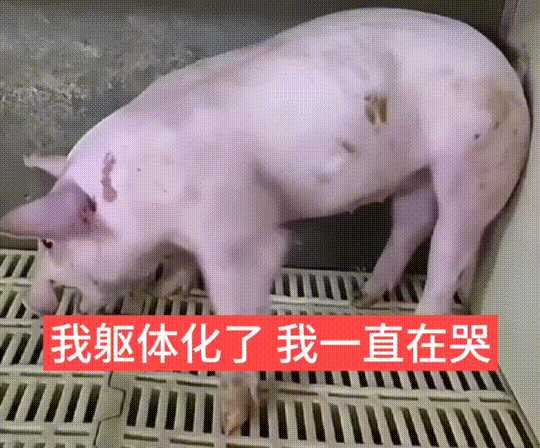食物语无限魂芯修改器曝光 食物 语无 限魂 芯修 改器 曝光 第1张 食物语无限魂芯修改器曝光 食物 语无 限魂 芯修 改器 曝光 第1张