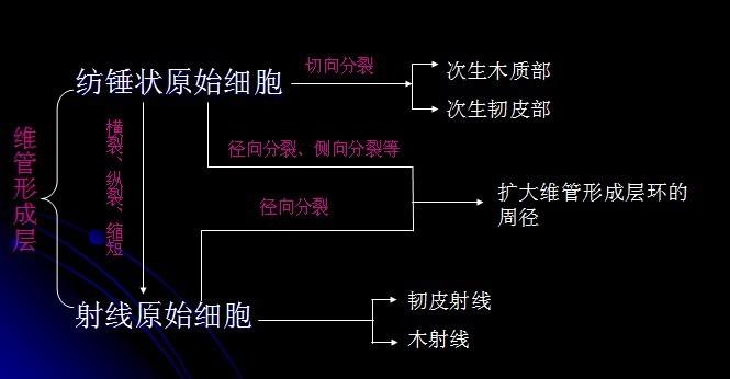 食物语辅助软件有用吗 食物 语辅 助软 件有 用吗 第1张 食物语辅助软件有用吗 食物 语辅 助软 件有 用吗 第1张