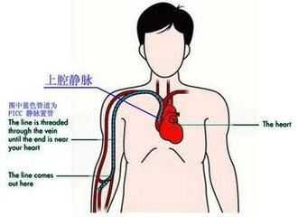 使命召唤手游iOS版外挂事件调查