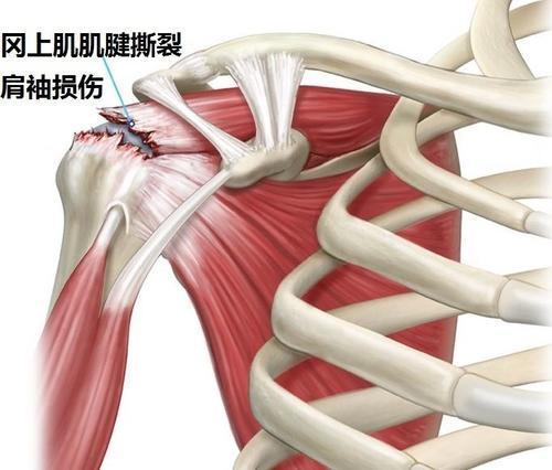 天涯明月刀游戏下载与攻略分享