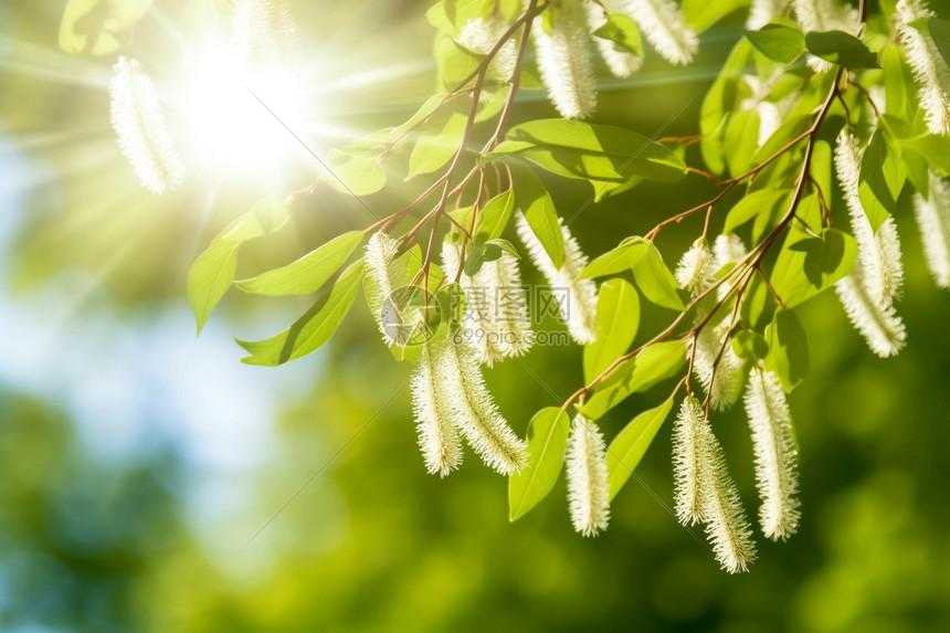 阴阳师挂机辅助器免费下载及使用教程