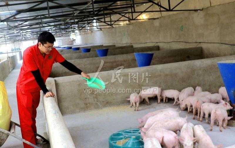chf原神直装下载侵权风险高 ch f原 神直 装下 载侵 权风 险高 第1张 chf原神直装下载侵权风险高 ch f原 神直 装下 载侵 权风 险高 第1张