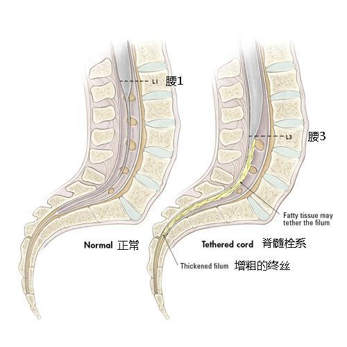 战双帕弥什开挂被曝光如何应对  战双 帕弥 什开 挂被 曝光 如何 应对 第1张