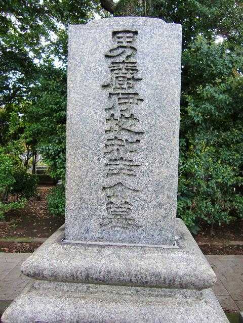 植物大战僵尸公司发展分析  植物 大战 僵尸 公司 发展 分析 第1张