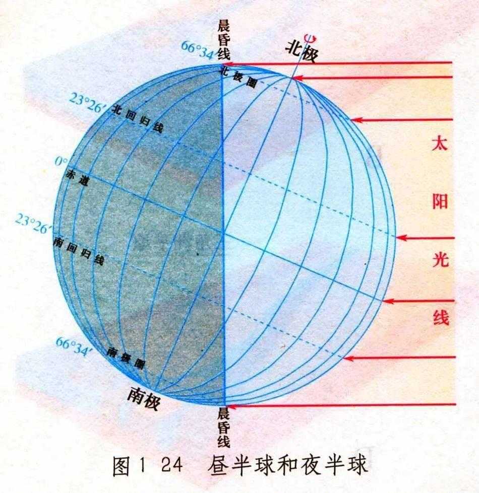 植物大战僵尸破解版安卓下载