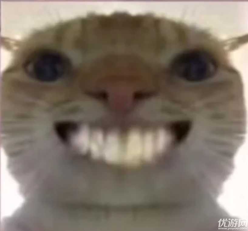 气球僵尸克星是哪只植物