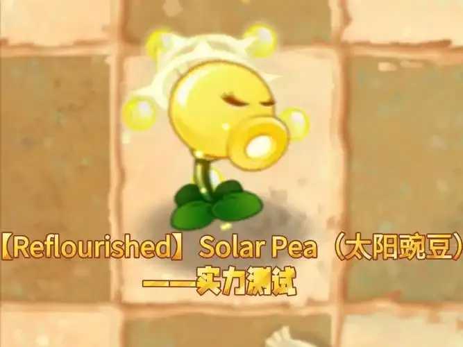 无限阳光无限种植