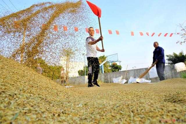 植物大战僵尸破解版免费下载