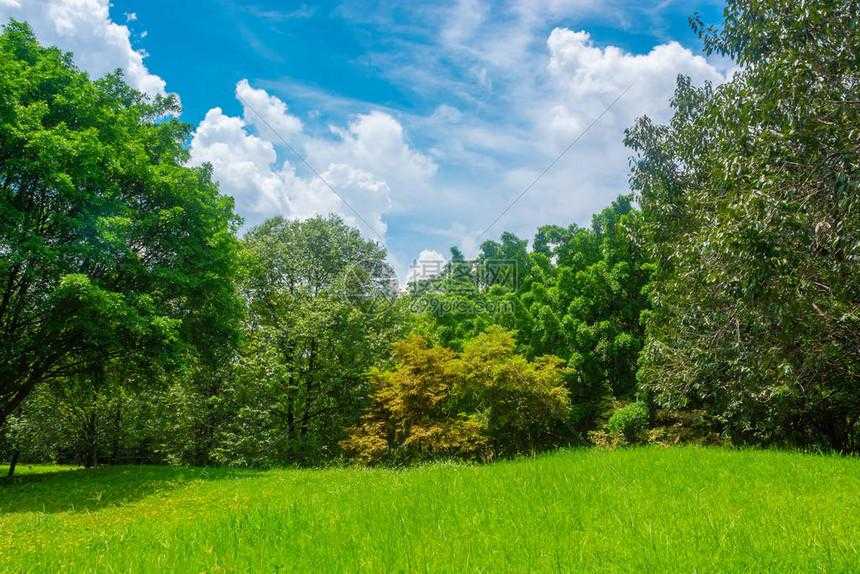 植物大战僵尸破解版融合版游戏评测  植物 大战 僵尸 破解 版融 合版 游戏 评测 第1张