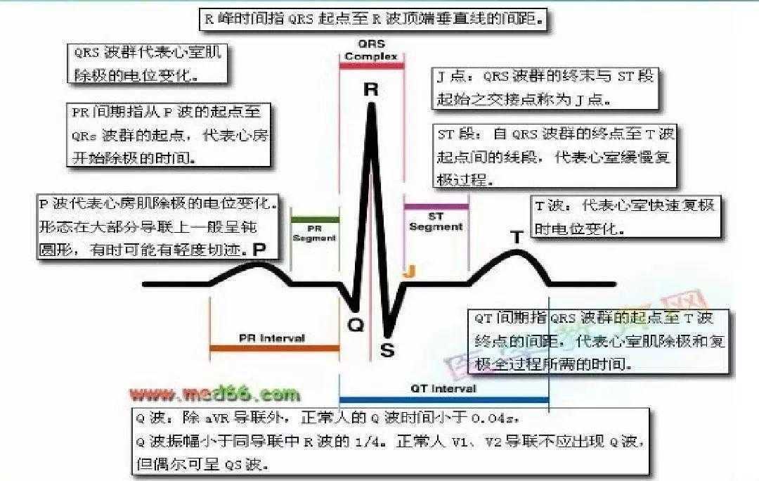 诅咒岛屿游戏评测：惊悚与生存的极限挑战