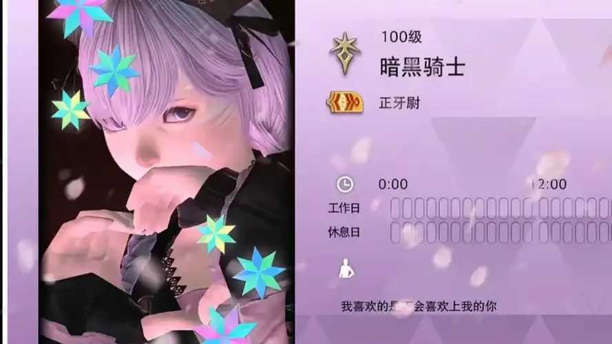 FF14第三方插件使用指南