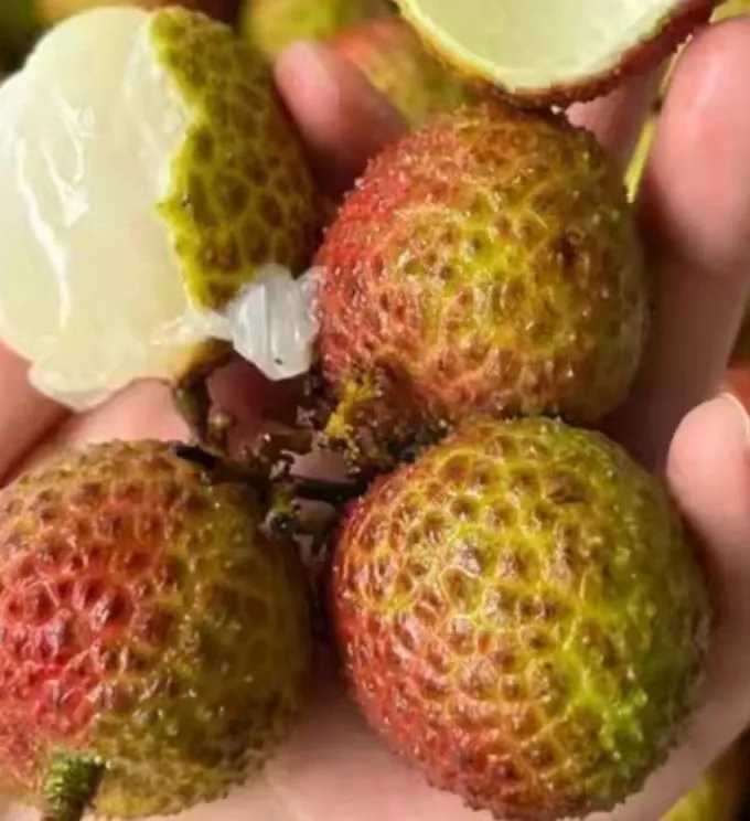 MC黑科技大全教程分享