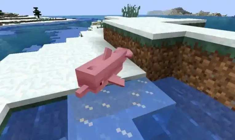 MC我的世界科技海豚MOD教程分享