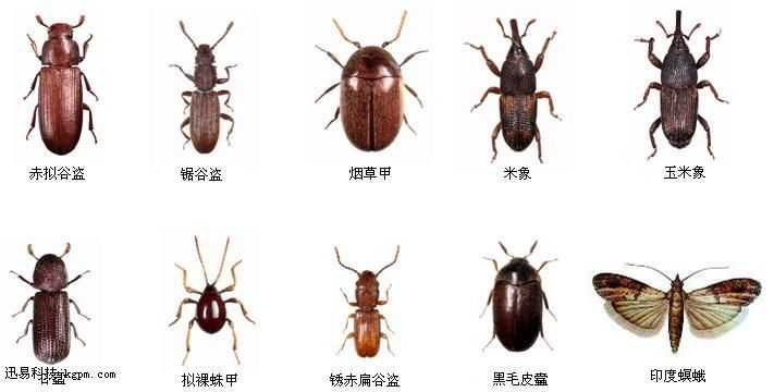 MC我的世界科技蜡烛制作教程