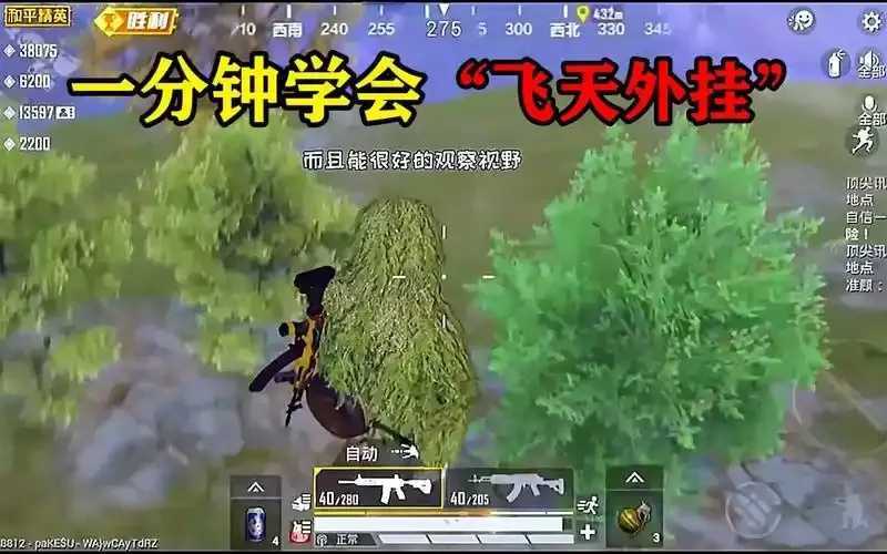 和平精英飞天挂使用教程