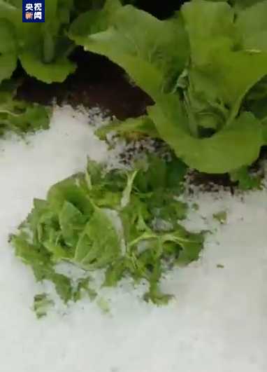 晴空直装2.0我的世界更新解析