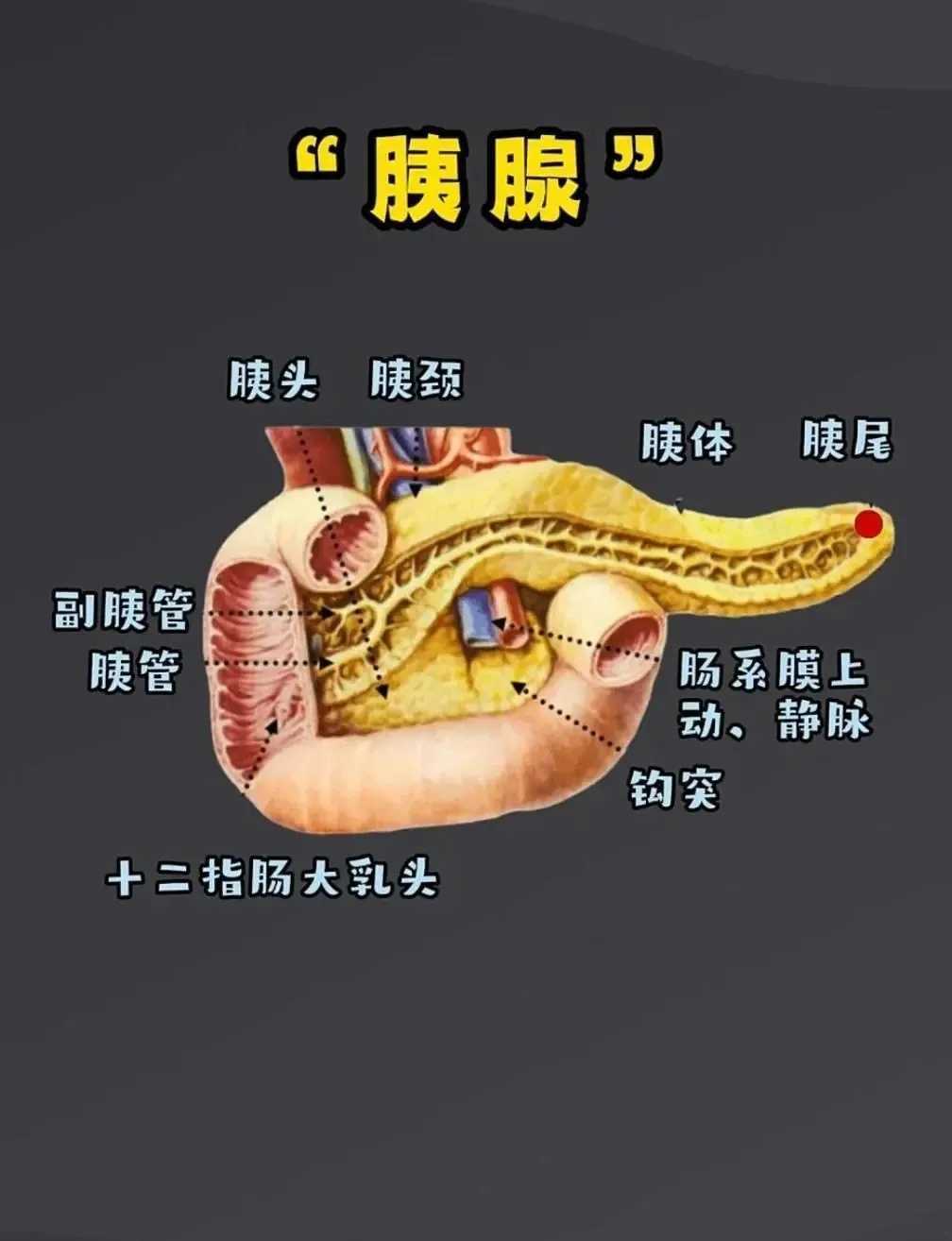 文明重启辅助器下载最新版免费安装 文明 重启 辅助 器下 载最 新版 免费 安装 第1张 文明重启辅助器下载最新版免费安装 文明 重启 辅助 器下 载最 新版 免费 安装 第1张