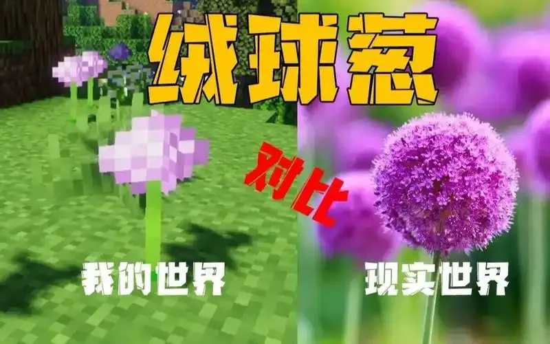 我的世界绒球葱的群系分布