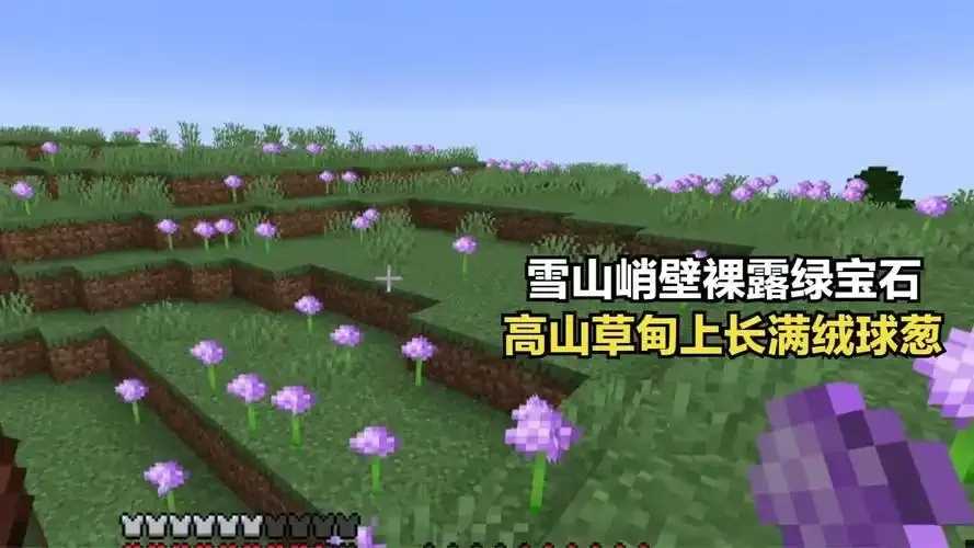 我的世界绒球葱哪里长