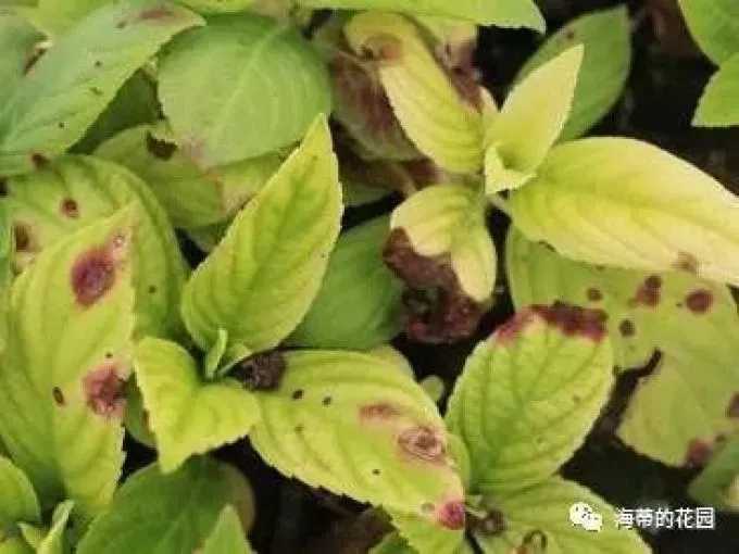 下界合金：我的世界科技新纪元