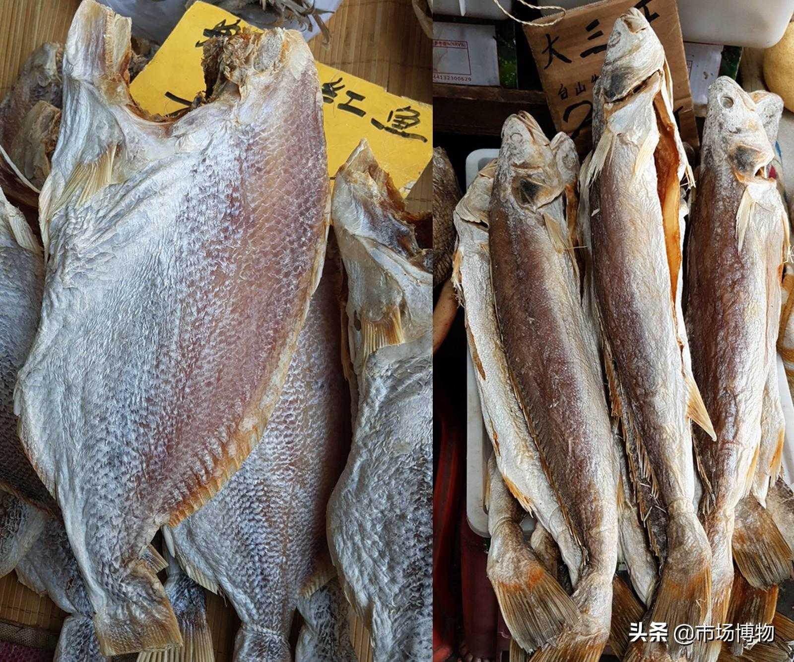 咸鱼鲨鱼王者新版本，辅助神器大更新
