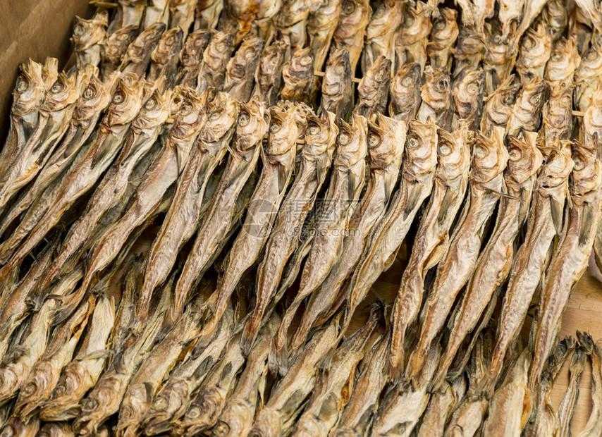 咸鱼之王gm破解版下载与使用教程