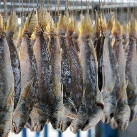 咸鱼之王科技刷法大揭秘