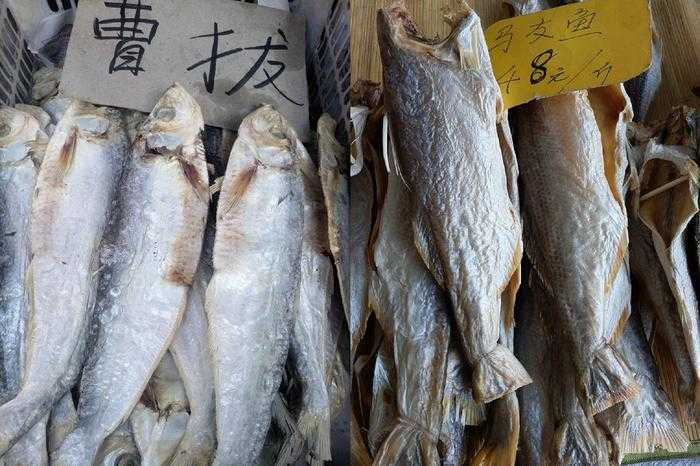 咸鱼之王破解版电脑版作弊菜单详解