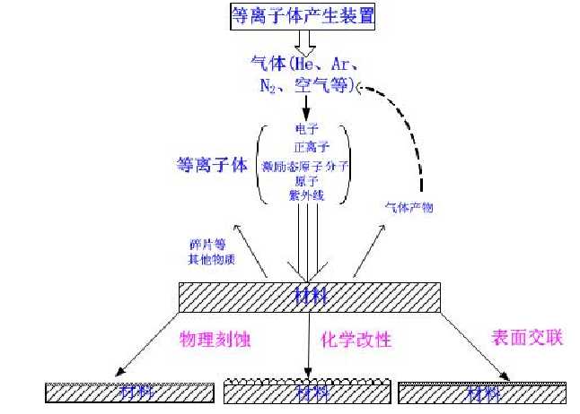 香肠派电脑版直装教程分享