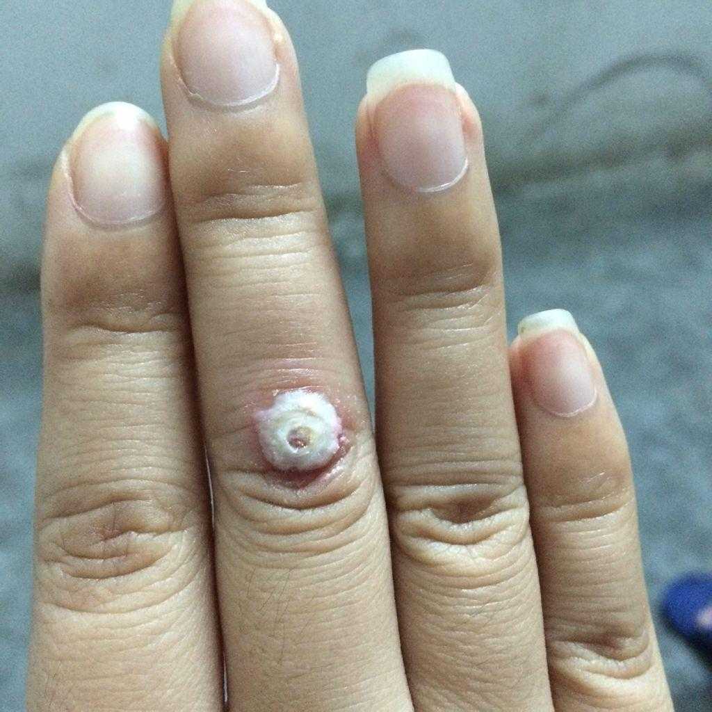 香肠派对辅助教程大揭秘 香肠 派对 辅助 教程 大揭 秘 第1张 香肠派对辅助教程大揭秘 香肠 派对 辅助 教程 大揭 秘 第1张