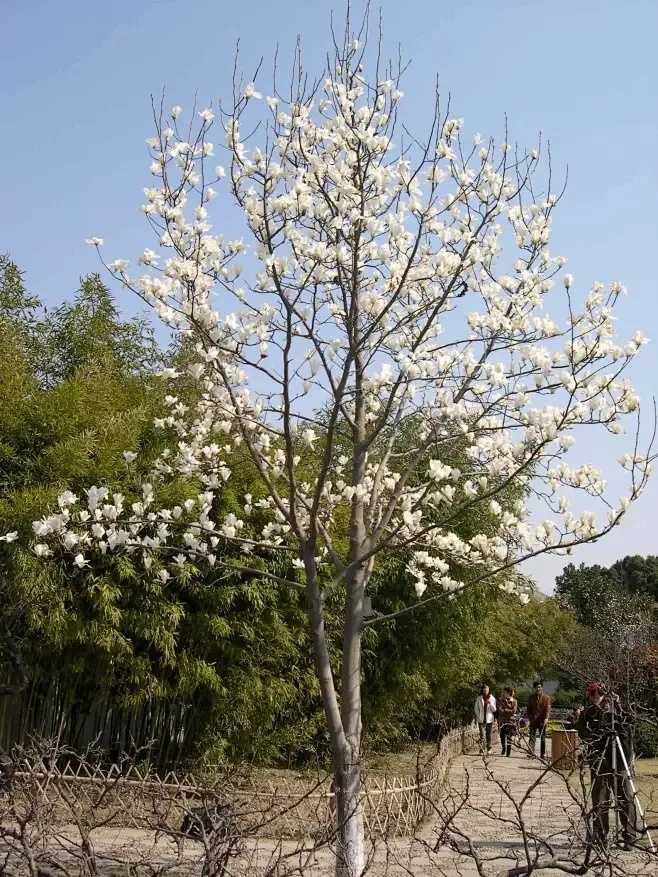 香肠派对自瞄挂曝光，游戏平衡遭挑战