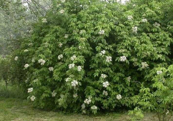 一念逍遥破解版免费领 一念 逍遥 破解 版免 费领 第1张 一念逍遥破解版免费领 一念 逍遥 破解 版免 费领 第1张