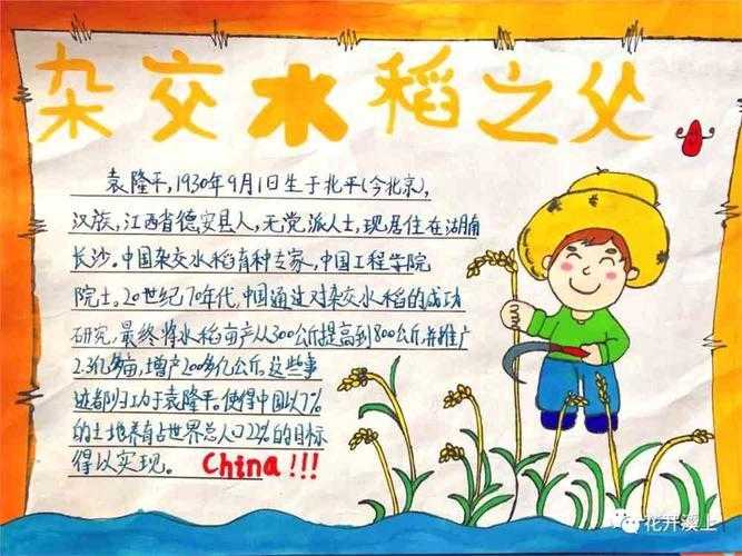 云服务器功能解析与应用场景