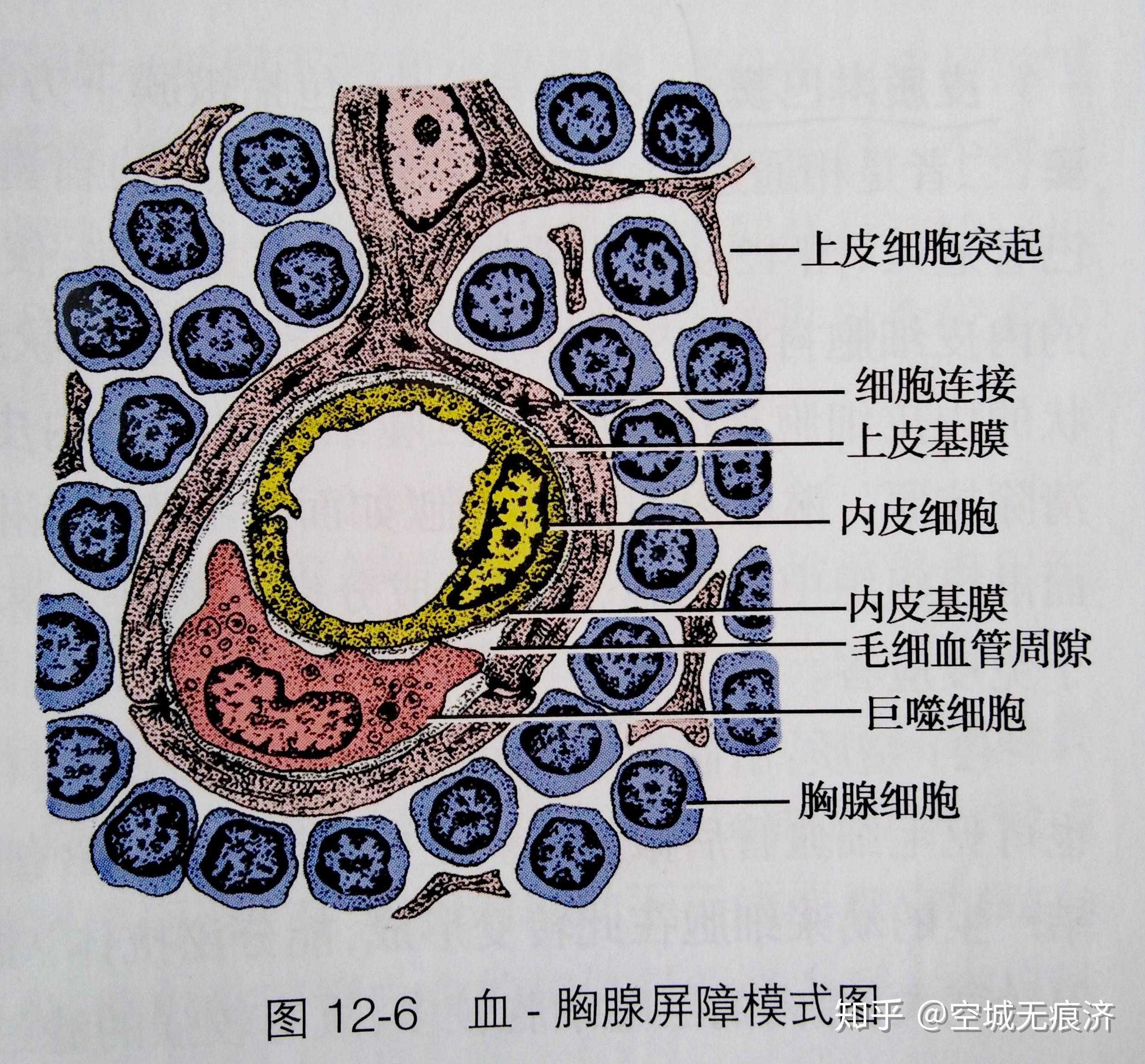 2023虚拟机推荐哪款最好最值得入手