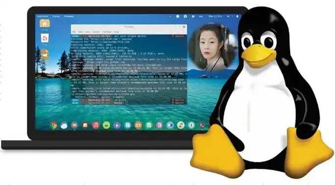 特价虚拟主机真实吗知乎用户安全评测深度解析
