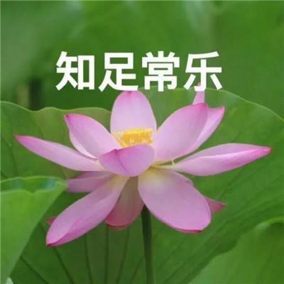 10大平价虚拟主机品牌！白菜价隐藏款服务推荐必看
