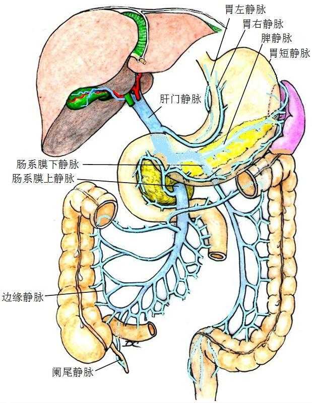 10大虚拟主机平台对比：省80%费用选哪家？