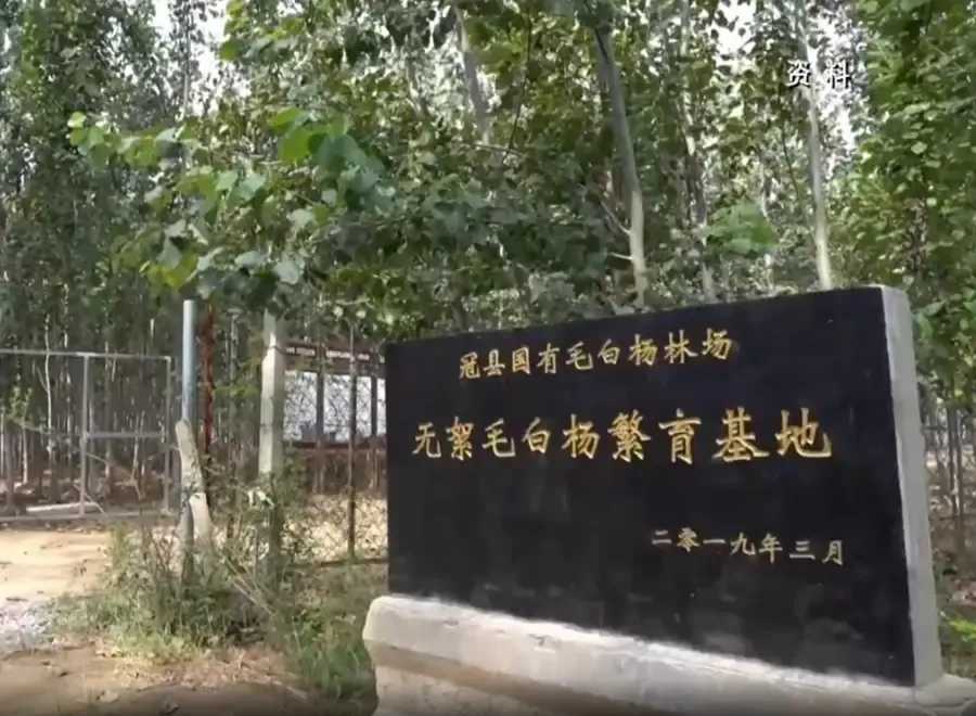 供应链管理中成本函数建模方法与优化研究