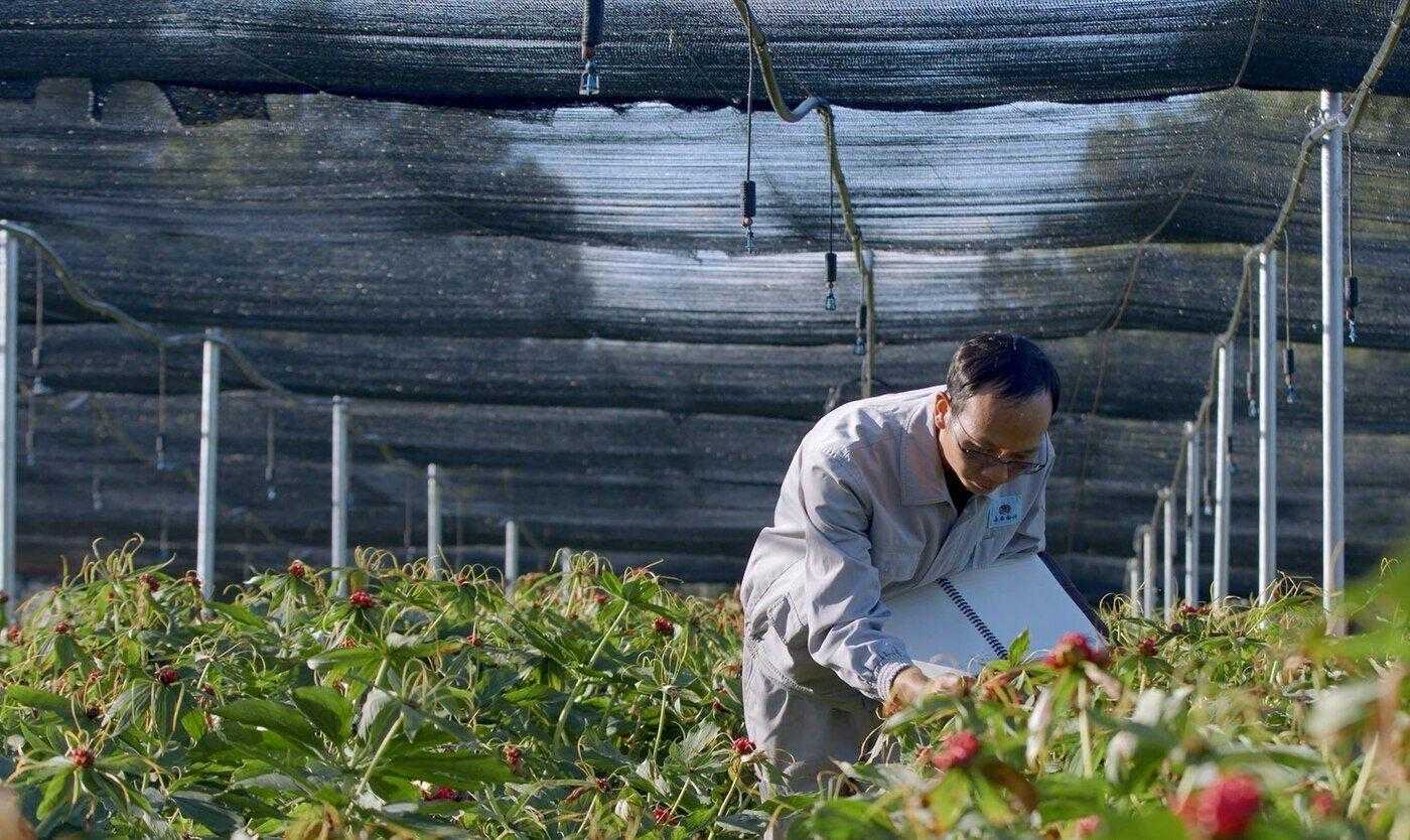 冷热数据分层存储架构设计优化策略与实践