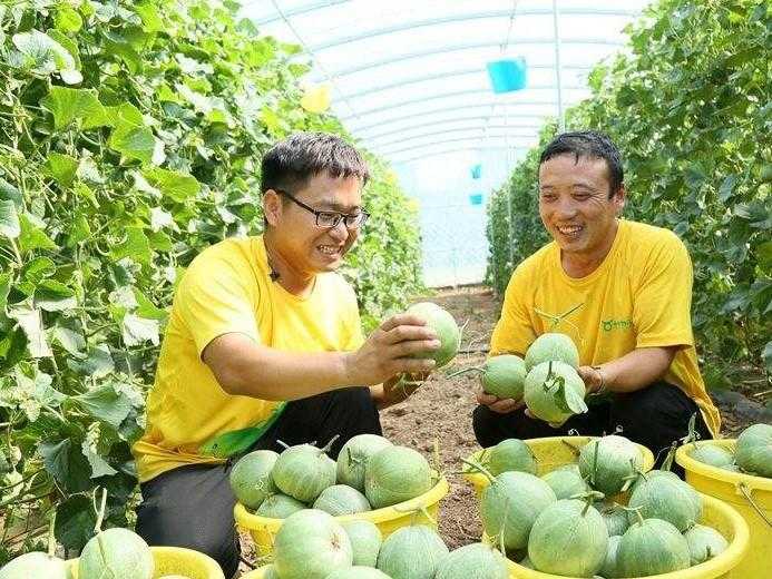 云服务对象存储通俗定位  云服 务对 象存 储通 俗定 位 第1张